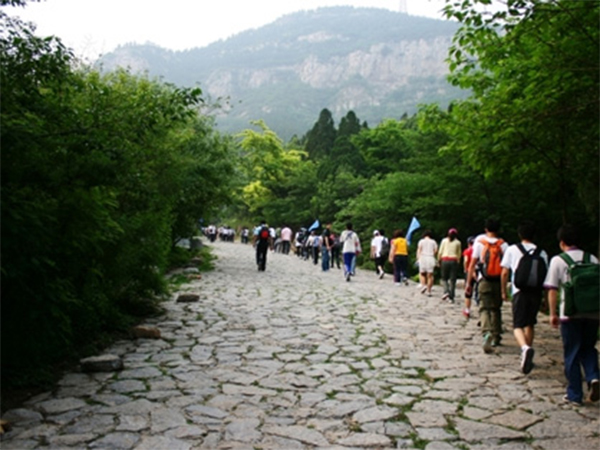 DTS MARKETING CENTER WALKING TRAINING ACTIVITIES DOCUMENTARY