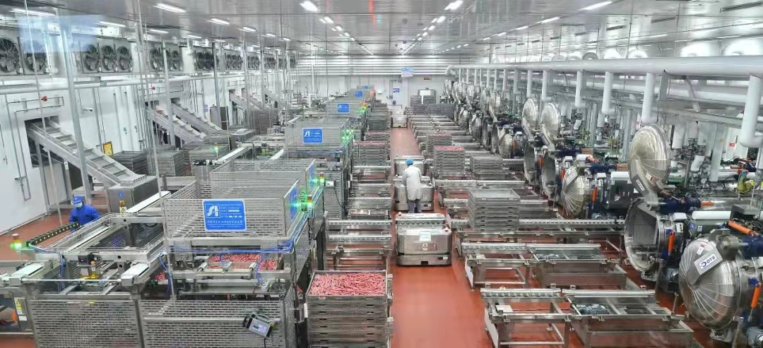 Warm congratulations on the great success of the cooperation project between Shandong Dingtaisheng Machinery Technology Co., Ltd. (DTS) 